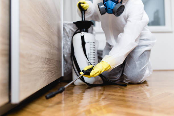 Best Wildlife Control Services  in Elkhart, TX