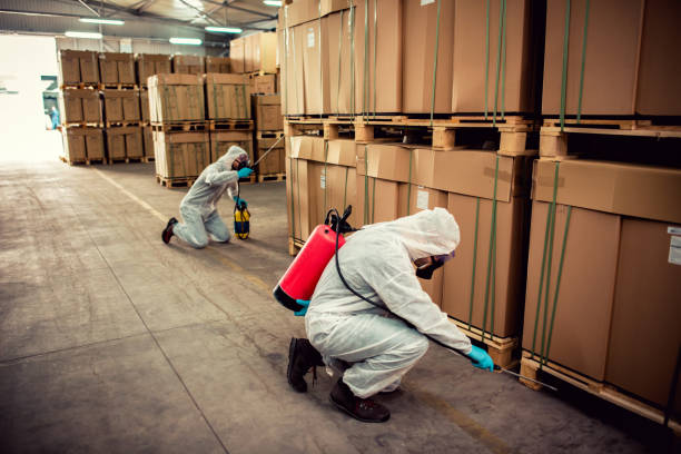 Pest Prevention Services in Elkhart, TX