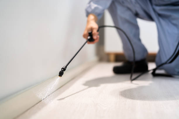 Best Pest Prevention Services  in Elkhart, TX