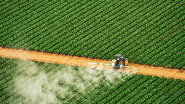 Best Termite Control Services  in Elkhart, TX