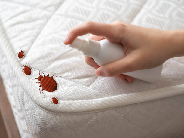 Best Pest Removal Services  in Elkhart, TX