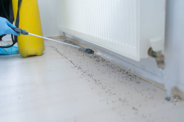 Best Bed Bug Extermination  in Elkhart, TX