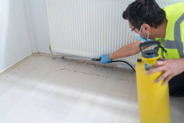 Best Emergency Pest Control  in Elkhart, TX